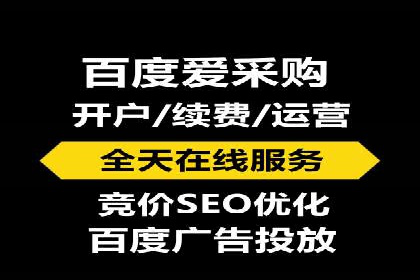 揭秘百度竞价广告：实战案例分析及优化策略